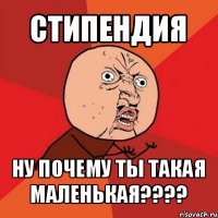 стипендия ну почему ты такая маленькая???