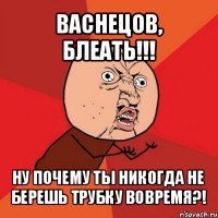 васнецов, блеать!!! ну почему ты никогда не берешь трубку вовремя?!