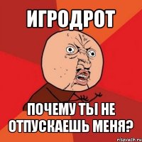 игродрот почему ты не отпускаешь меня?