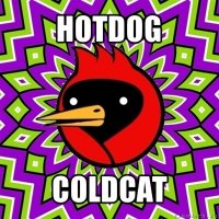 hotdog coldcat