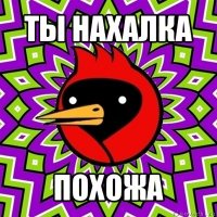 ты нахалка похожа