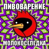 пивоварение молокоселедка