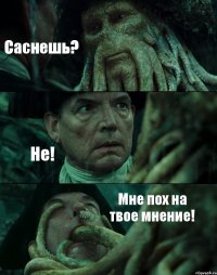 Саснешь? Не! Мне пох на твое мнение!