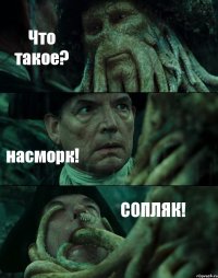 Что такое? насморк! СОПЛЯК!