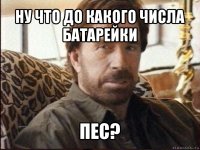 ну что до какого числа батарейки пес?