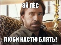 эй пёс люби настю блять!