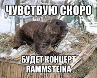 чувствую скоро будет концерт rammsteina