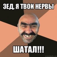 зед, я твои нервы шатал!!!