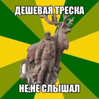 дешевая треска не,не слышал