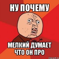 ну почему мелкий думает что он про