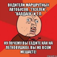 водители маршрутных автобусов, "газелей", "валдаев" и т.п. ну почему вы ездите как на легковушках, вы же всем мешаете!