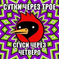 сутки через трое сгуси через четверо