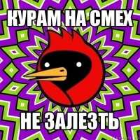 курам на смех не залезть