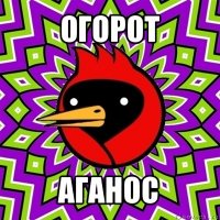 огорот аганос