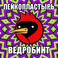 лейкопластырь ведробинт