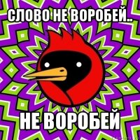 слово не воробей.. не воробей