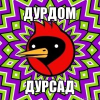 дурдом дурсад