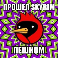 прошел skyrim пешком