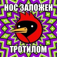 нос заложен тротилом