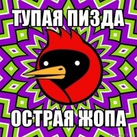 тупая пизда острая жопа