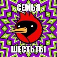 семья шестьты