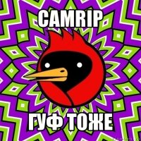 camrip гуф тоже