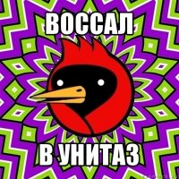 воссал в унитаз