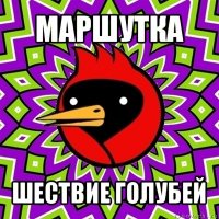 маршутка шествие голубей