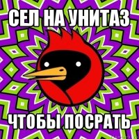 сел на унитаз чтобы посрать