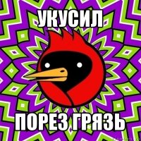 укусил порез грязь