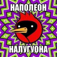 наполеон налугуона