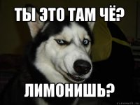 Ты это там чё? Лимонишь?