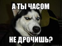 А ты часом не дрочишь?