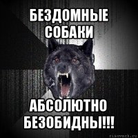 бездомные собаки абсолютно безобидны!!!