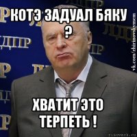 котэ задуал бяку ? хватит это терпеть !