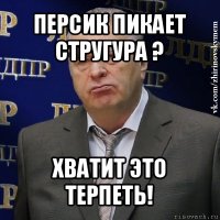 персик пикает стругура ? хватит это терпеть!