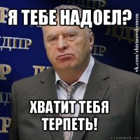 я тебе надоел? хватит тебя терпеть!