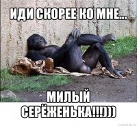 иди скорее ко мне... милый серёженька!!!)))