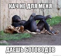 кач не для меня даешь ботоводов