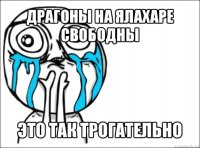 драгоны на ялахаре свободны это так трогательно