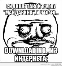 сидишь такой в углу "мандарина", и что-то... downloading...из интернета;