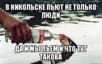 в никольске пьют не только люди да и мы пьем и что тут такова