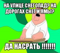 на улице снегопад? на дорогах снег и ямы? да насрать !!!