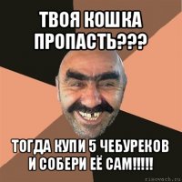 твоя кошка пропасть??? тогда купи 5 чебуреков и собери её сам!!!