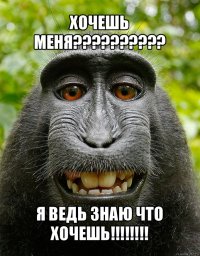 хочешь меня??? я ведь знаю что хочешь!!!