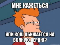 мне кажеться или кош обижается на всякую херню?