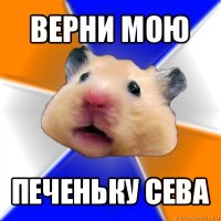 верни мою печеньку сева