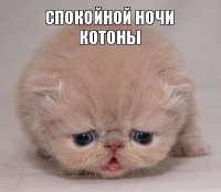 спокойной ночи котоны