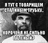 я тут с товарищем сталиным трубку.. короче.. я не сильно паленый?