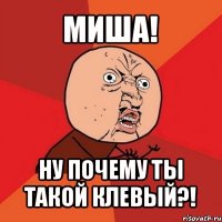 миша! ну почему ты такой клевый?!